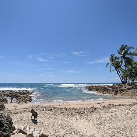 La Sana Surf Hotel - New Management Playa Santa Teresa  Экстерьер фото